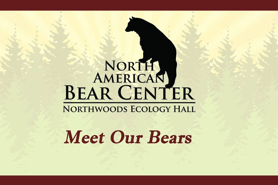 North American Bear Center logo