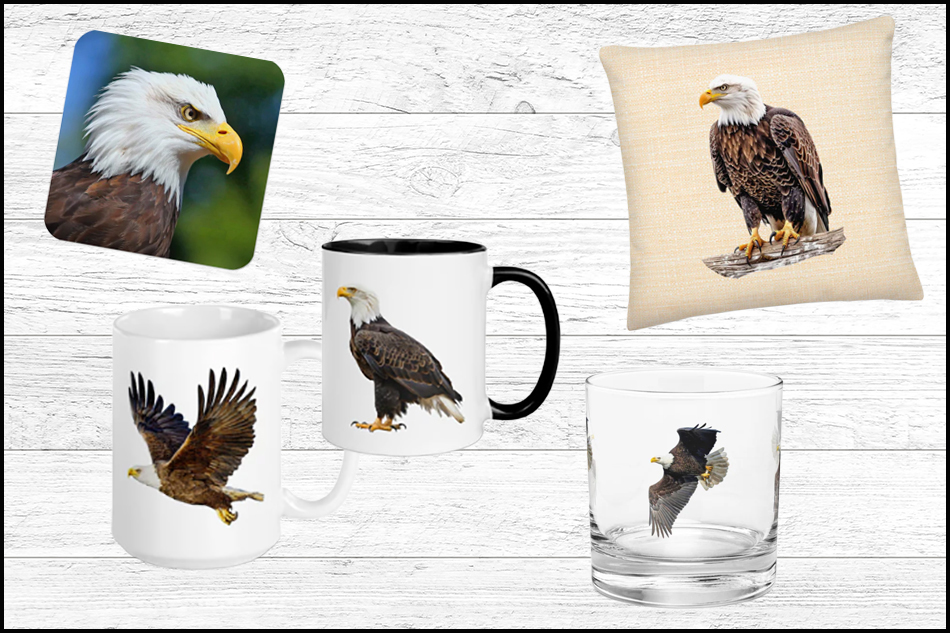 glass mug and coaster printed with a bald eagle