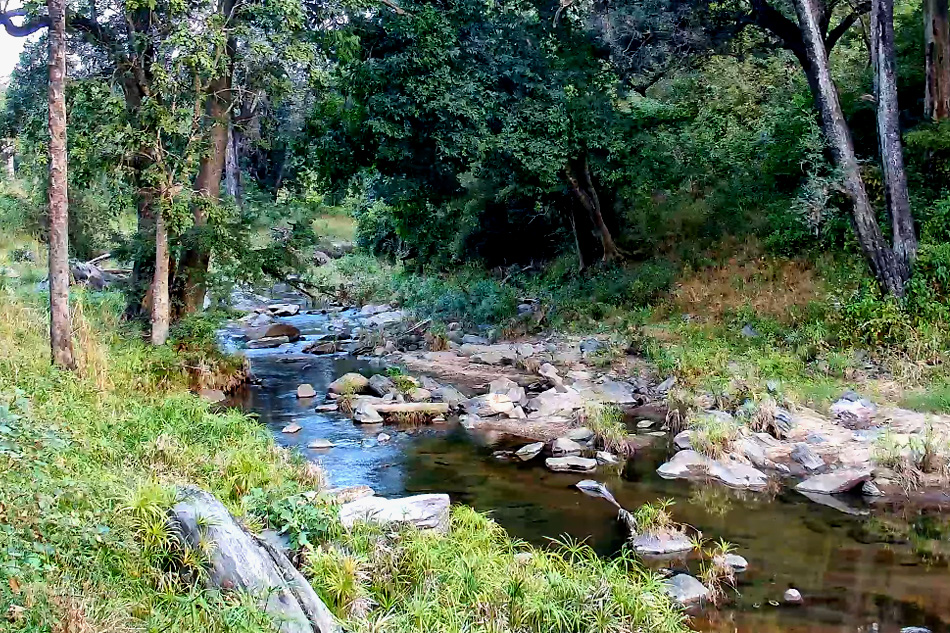 a river in majete wildlife reserve