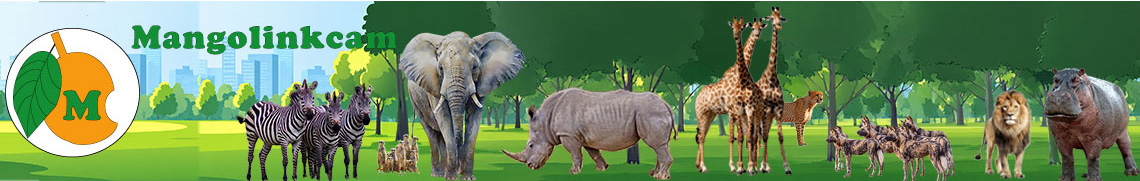 Mangolinkcam wildlife webcams