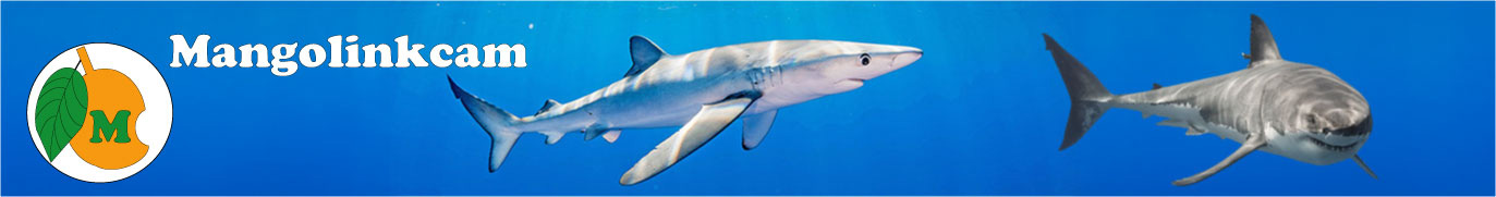 Mangolinkcam wildlife webcams