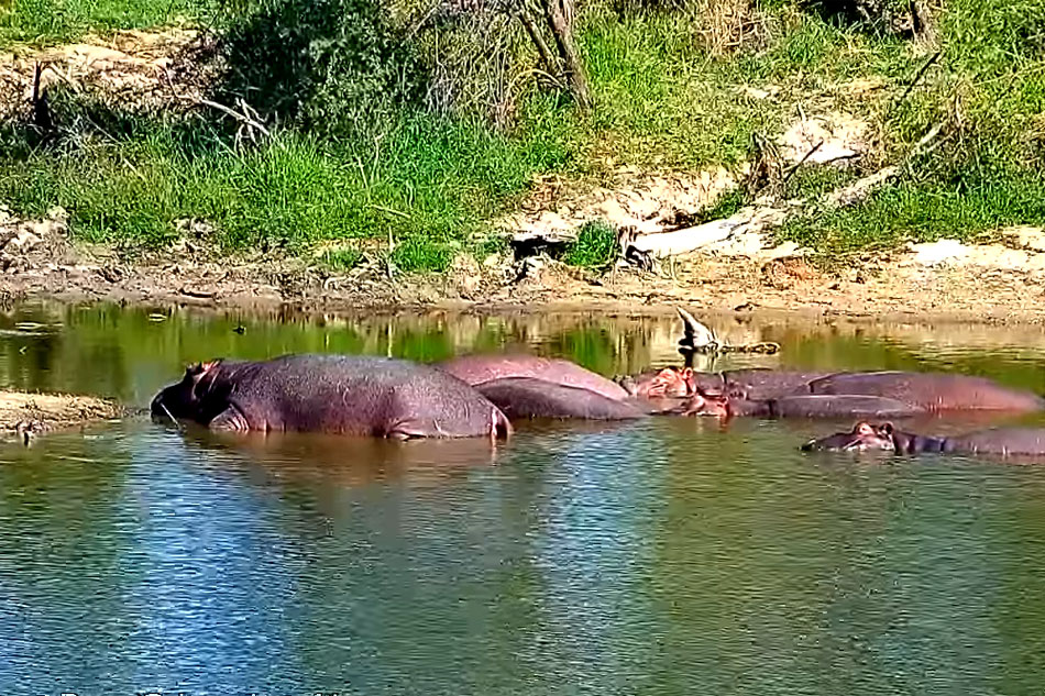 deans dam in south africa