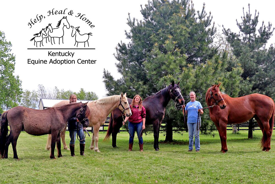 kentucky equine adoption centre