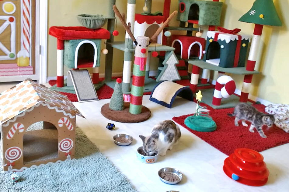 kit kat playroom in new jersey