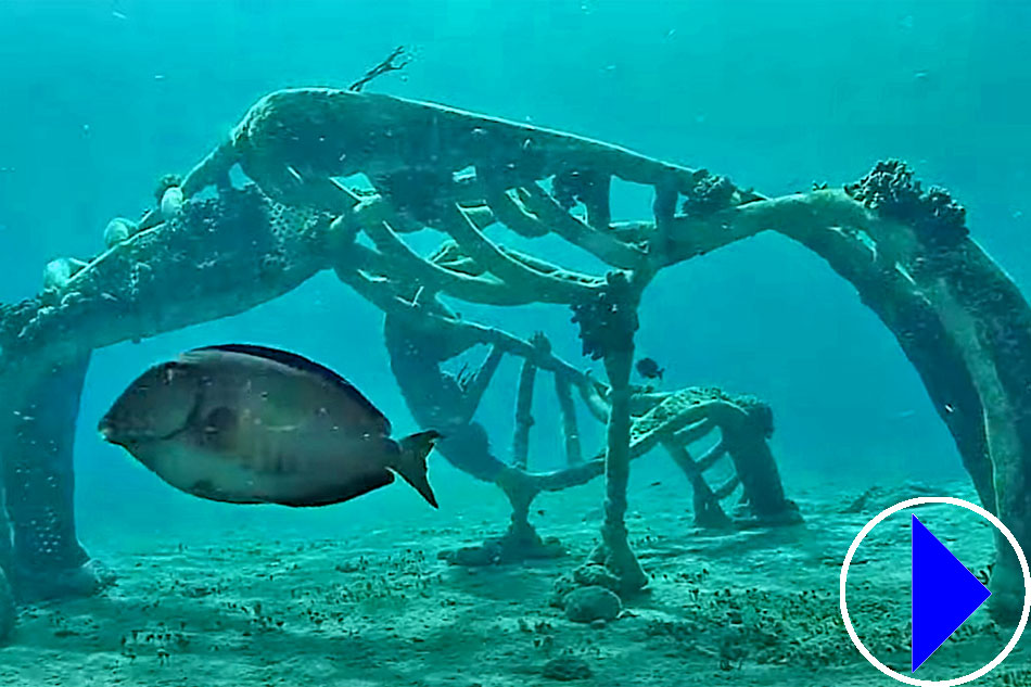 underwater sea sculpture in cozumel