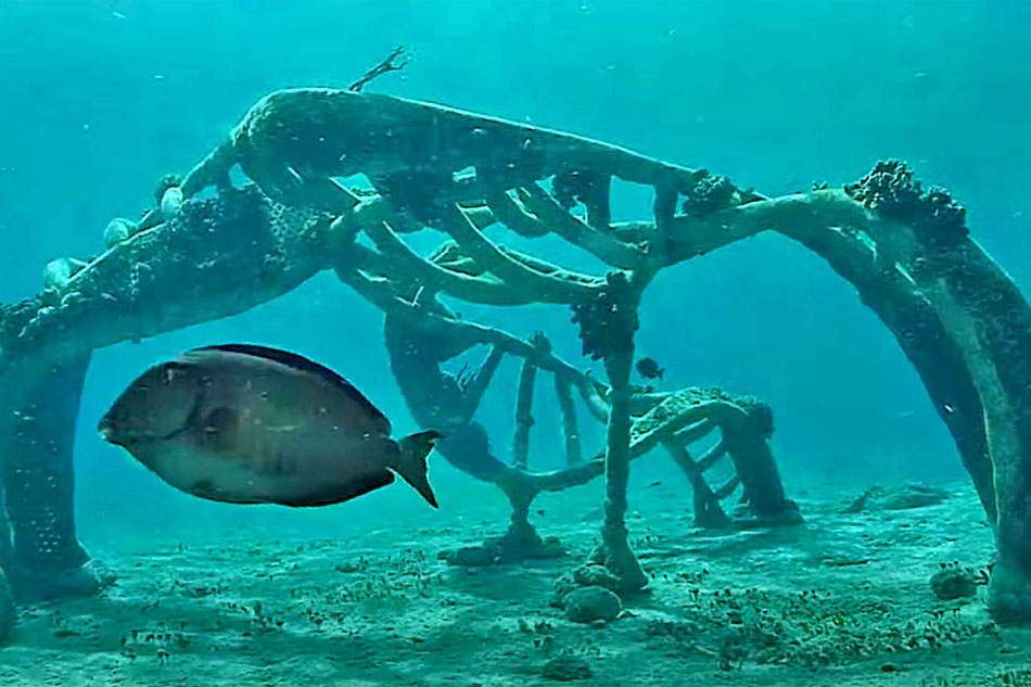 underwater living sea sculpture