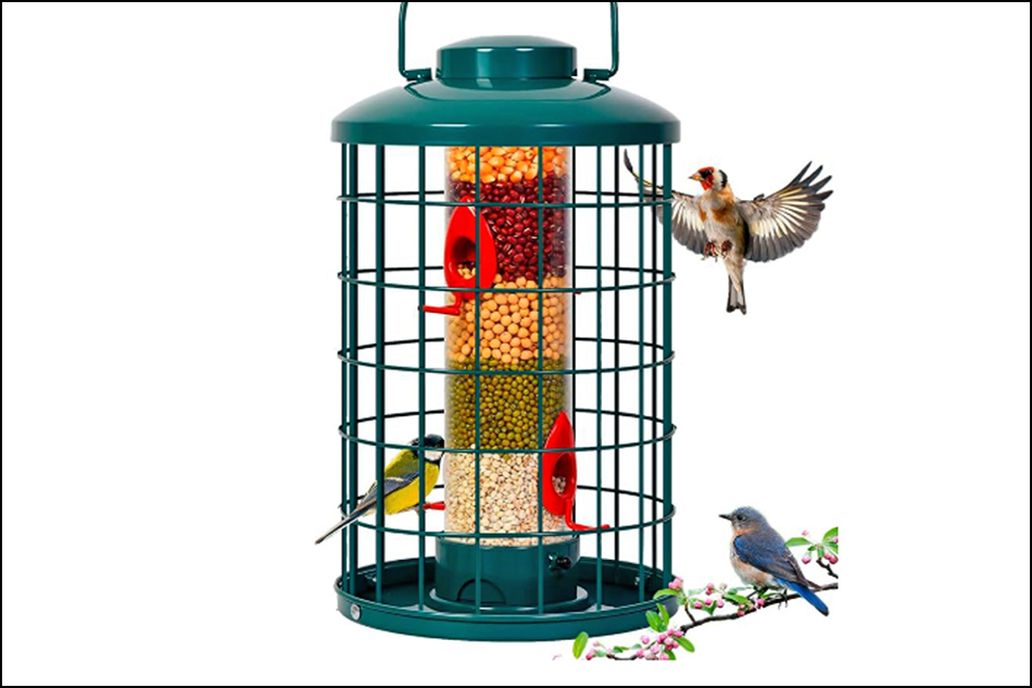 caged bird feeder