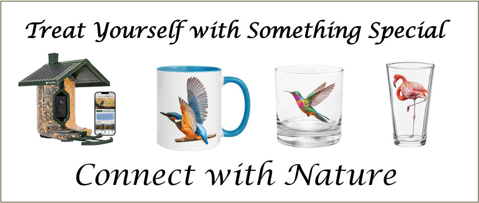 Collection of items for sale with a bird theme