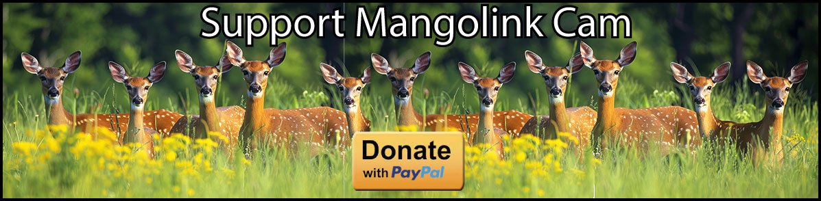 Donate Banner