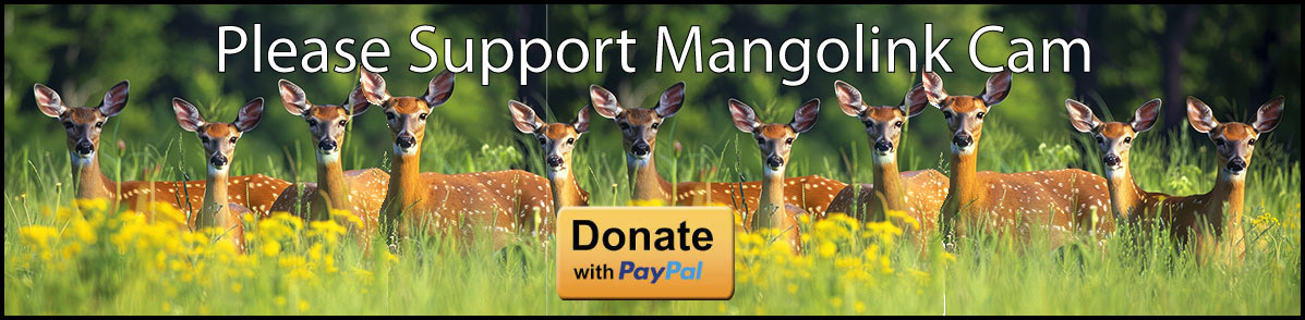 Donate Banner
