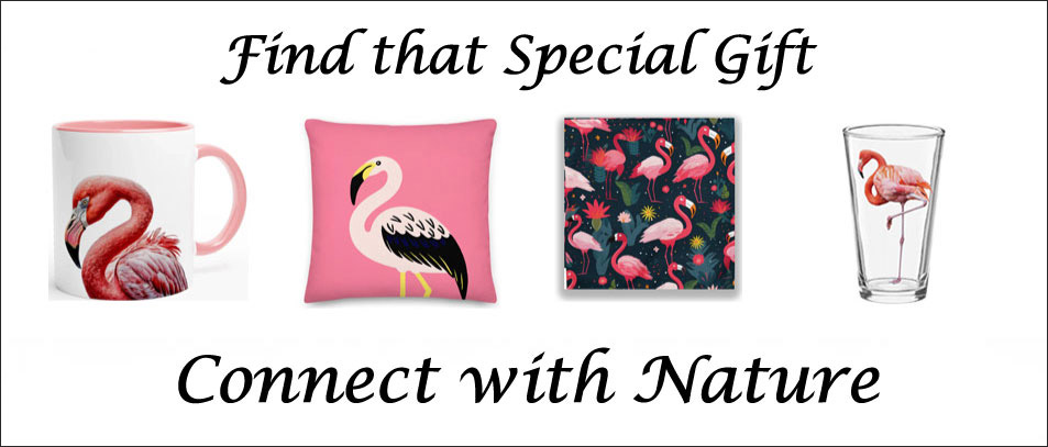Items for sale themed with Flamingoes